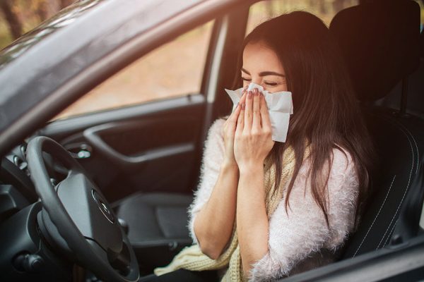 Allergie alla guida.. come prevenirle